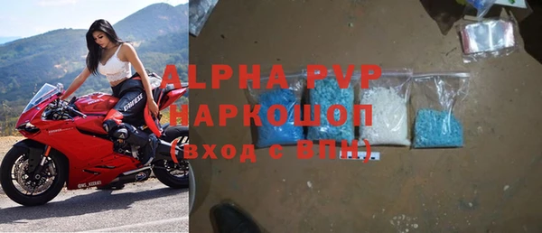 молекула духа Арсеньев
