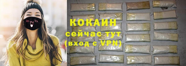 молекула духа Арсеньев
